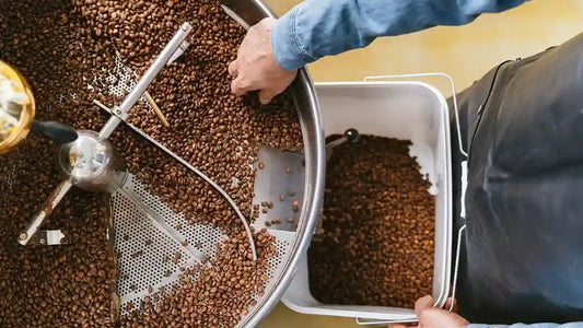 Dark Roast vs. Light Roast Coffee: Which One is Right for You?