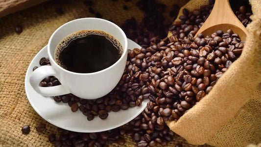 Coffee Beans: Understanding the Basics