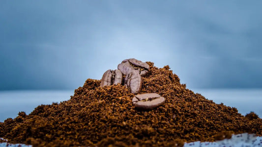 How Does Roast Level Affect Caffeine Content?