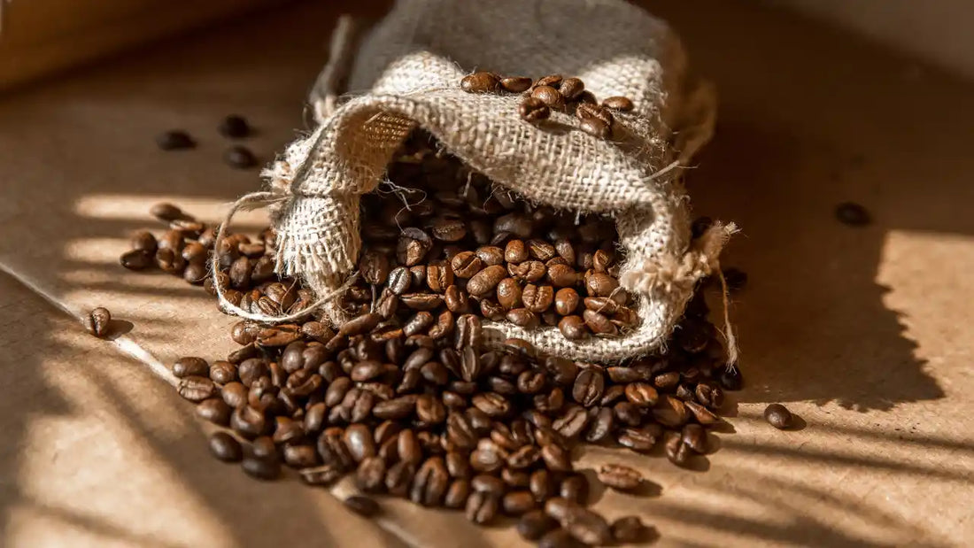 How to Store Coffee Beans to Keep Them Fresh