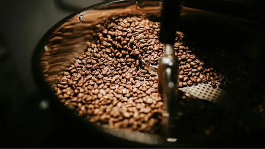 What Makes Coffee 'Specialty'? A Guide to Quality Specialty Coffee