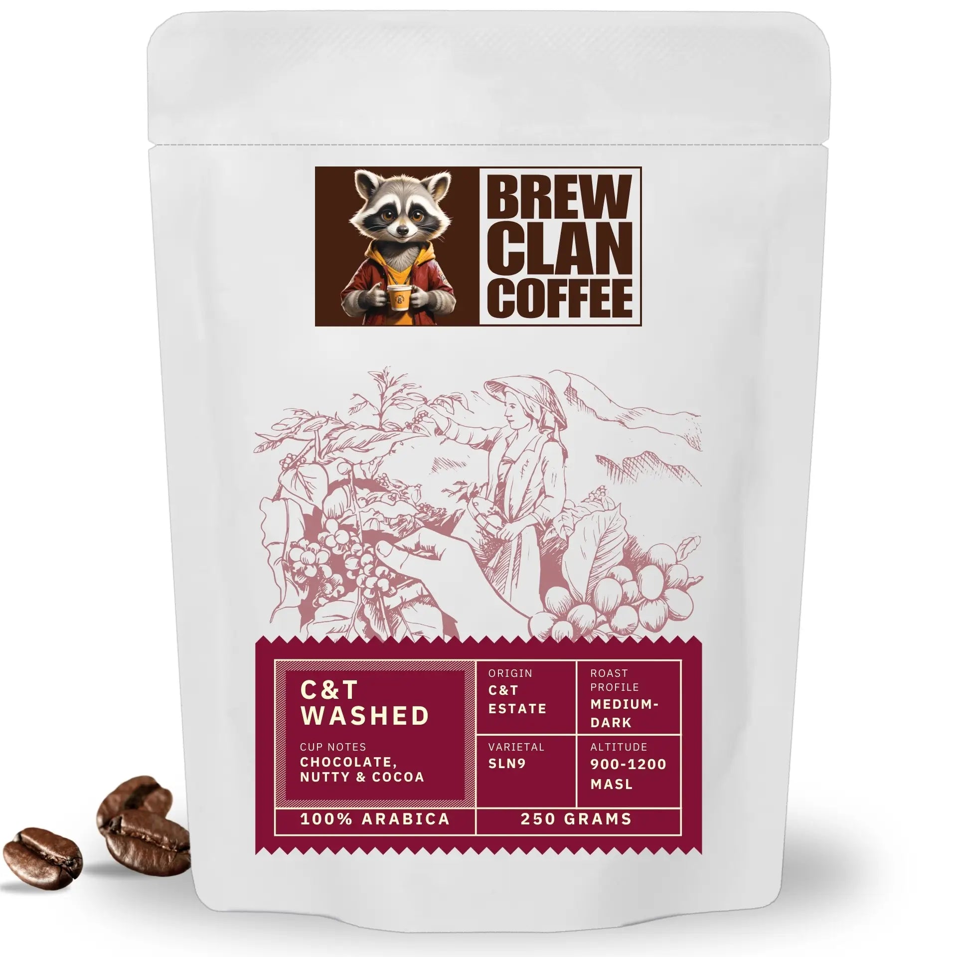 C&T Estate Washed AA Specialty Coffee Beans