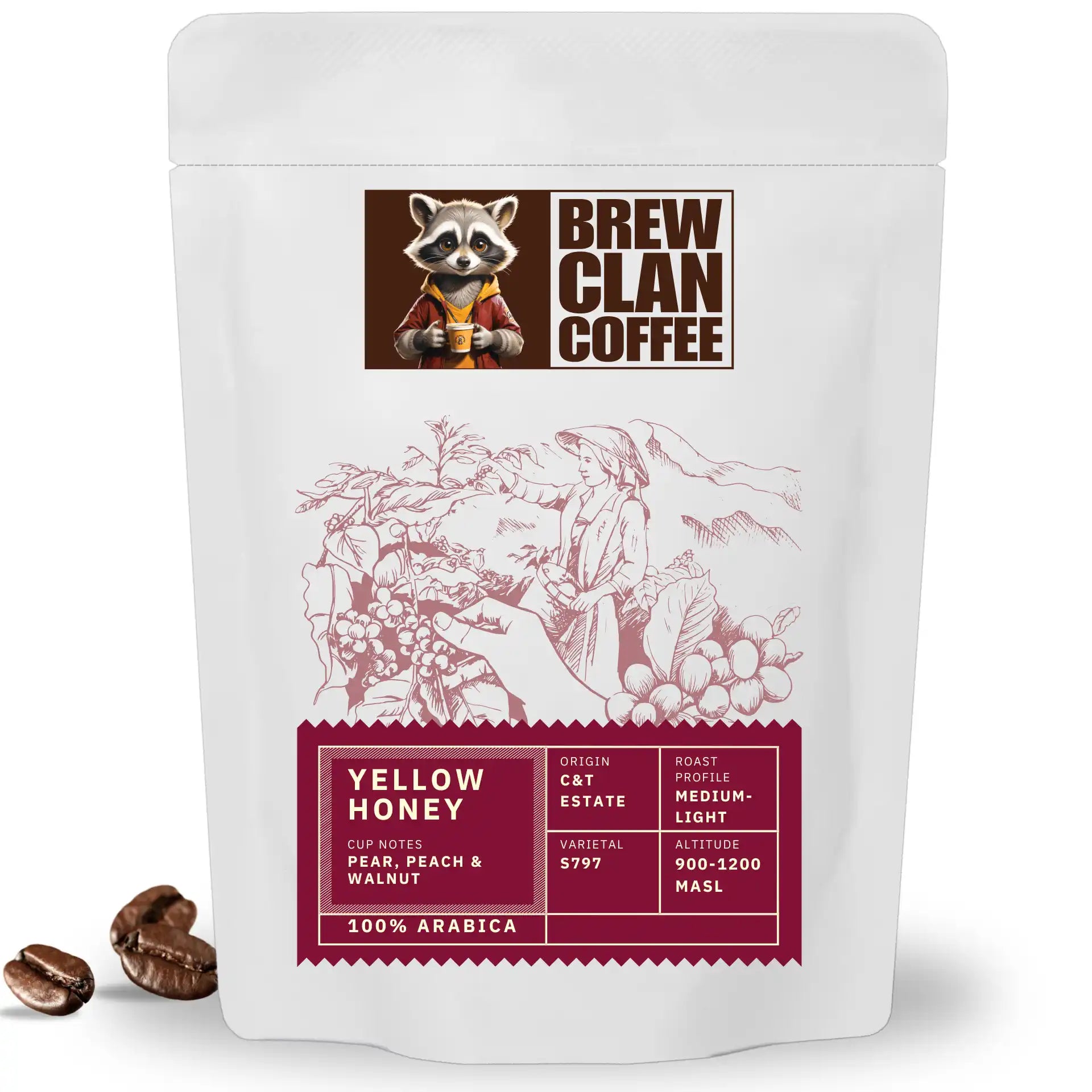 C&T Estate Yellow Honey – Medium-Light Roast | Whole Beans | Single Origin Specialty Coffee | 100% Arabica S797 | Pear, Peach & Walnut Notes | Freshly Roasted | Bag