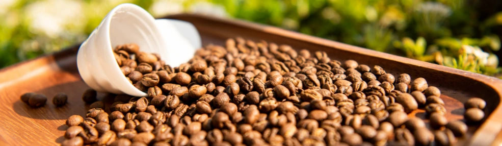 Roasted Specialty coffee beans