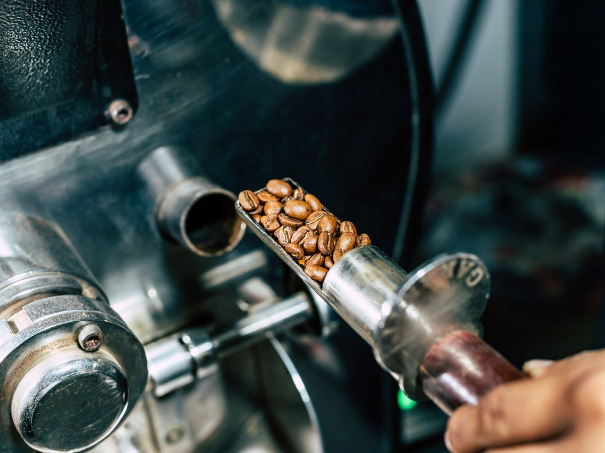 Specialty Coffee Roasting 100% Arabica Coffee beans
