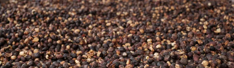 The-Magic-of-the-Honey-Process in Specialty coffee roasting