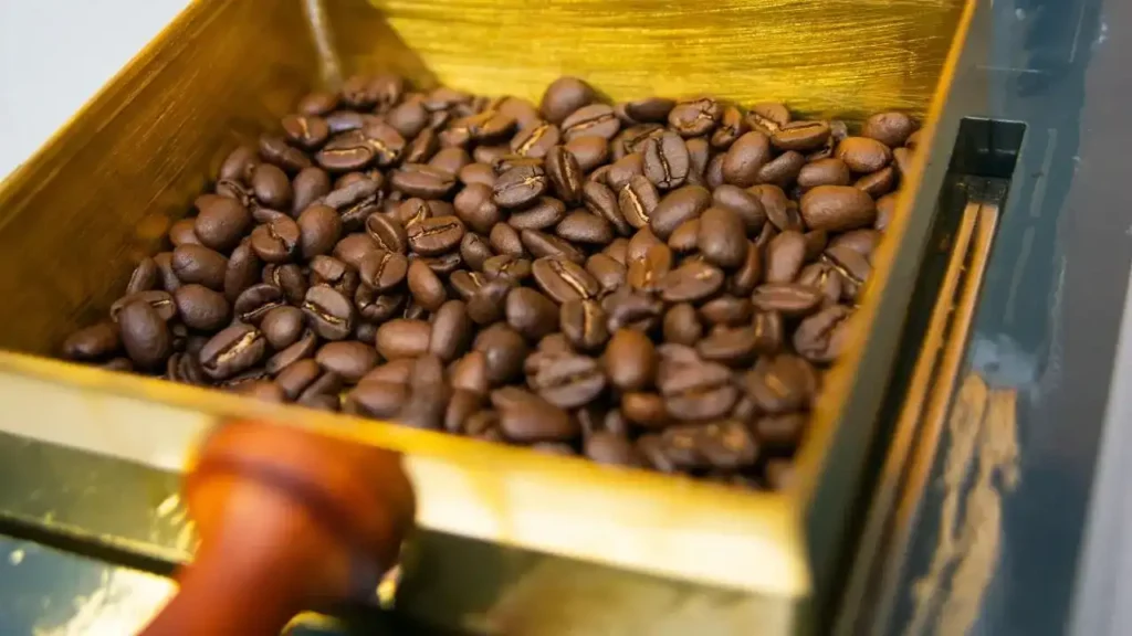 A Guide to Roasted Coffee Beans: Finding Your Perfect Roast