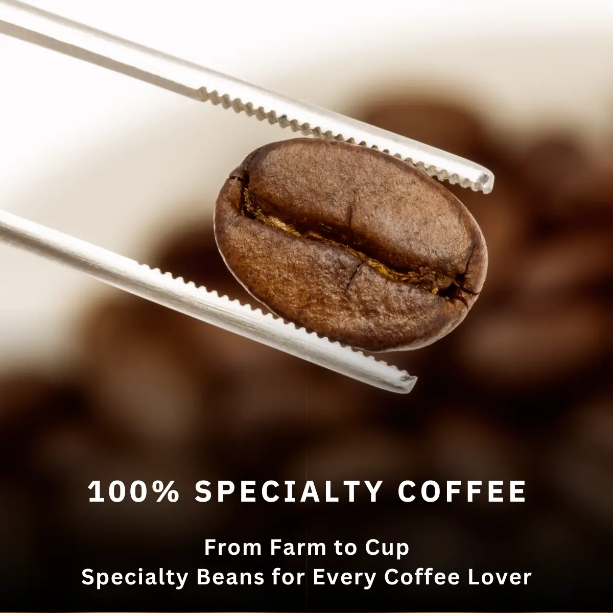 100 percent Specialty Coffee